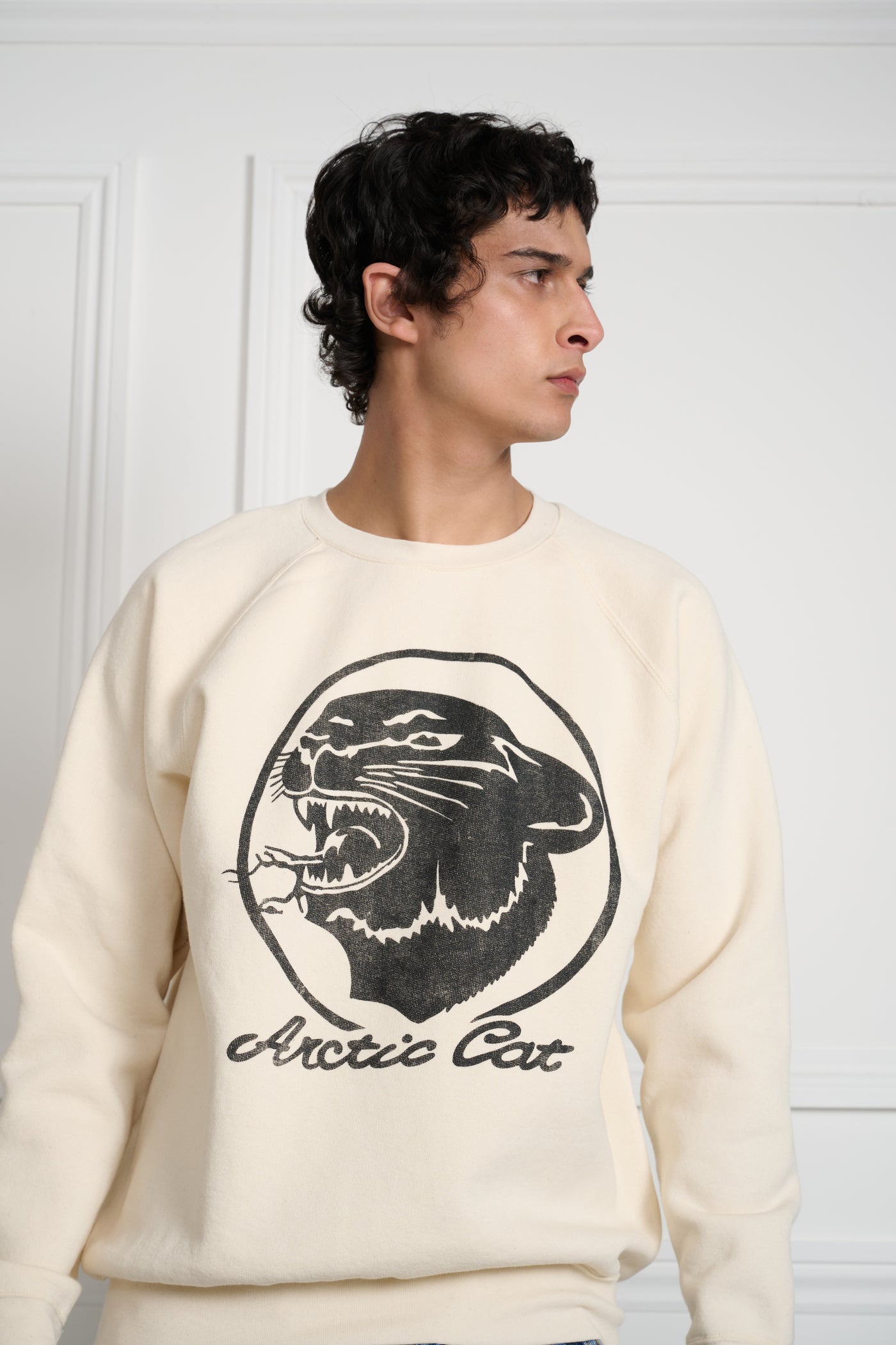 Arctic Raglan Sleeves Crewneck