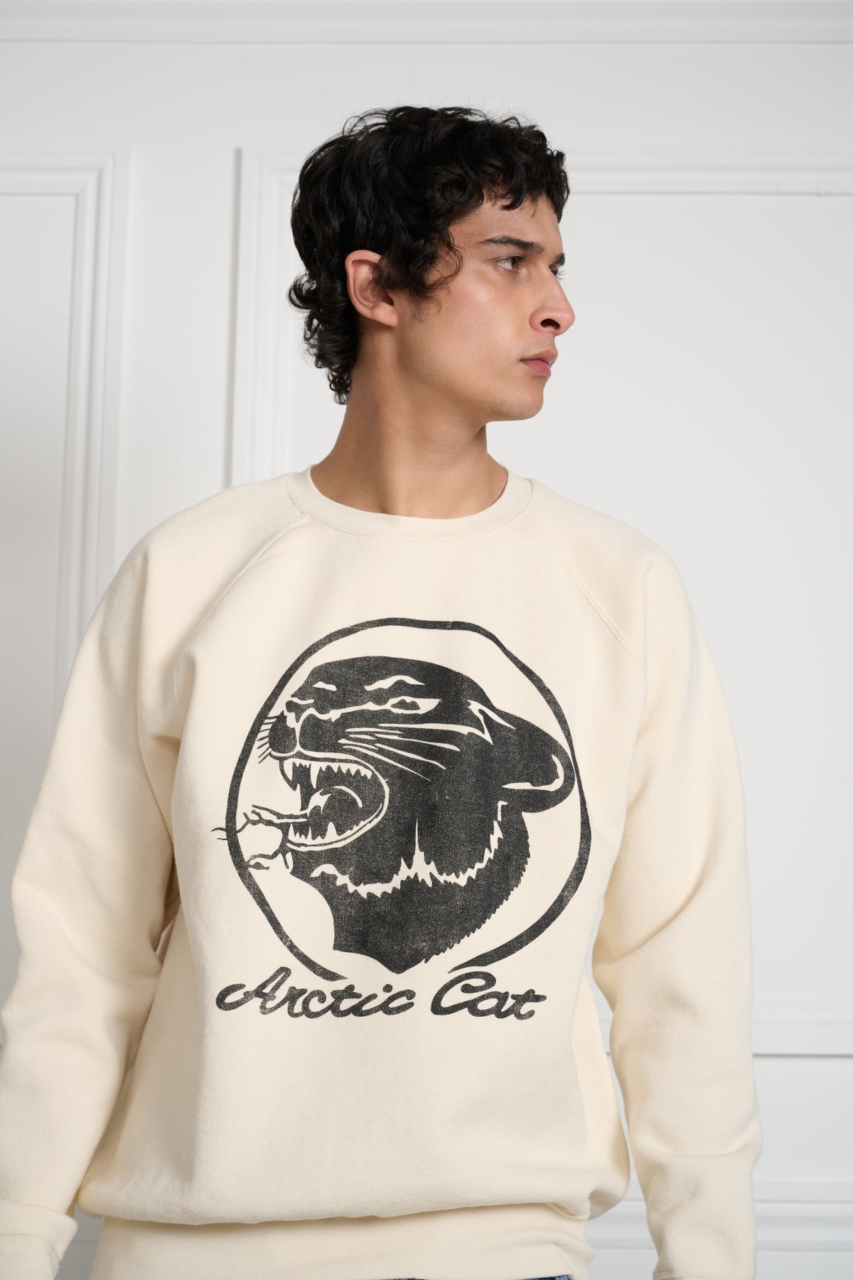 Arctic Raglan Sleeves Crewneck