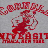 Cornell Raglan Crewneck