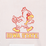 Off-White Iowa State Hoodie